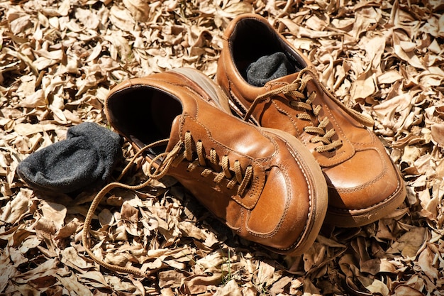 Closeup brown leather fashion shoes in the garden outdoor shoot