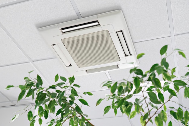 Closeup cassette Air Conditioner on ceiling in modern light office or apartment with green ficus plant leaves Indoor air quality