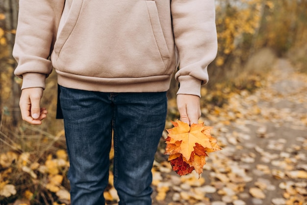 Closeup of child hands holding yellow autumn maple leaf Autumn background Selective focus