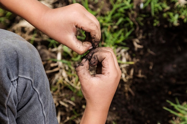 Closeup of a child39s hands gardening Planting trees