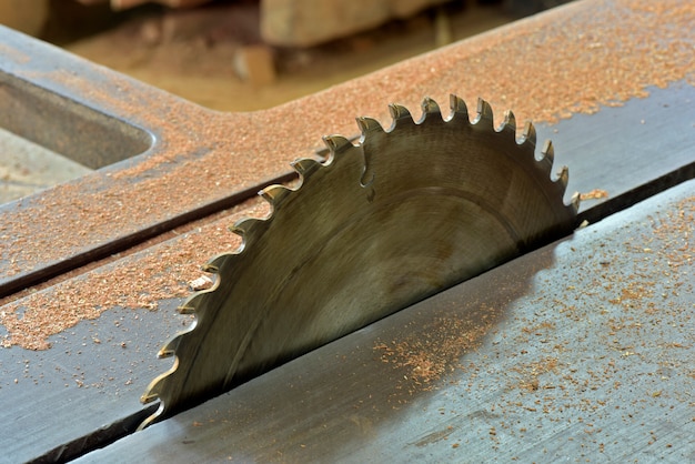 Closeup of circular saw on bench of woodworking