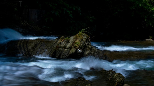 Closeup clean and cool stream valley mountain spring water flow