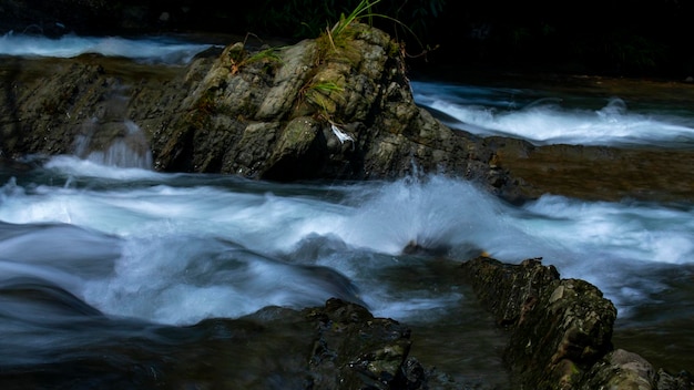 Closeup clean and cool stream valley mountain spring water flow