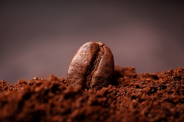 Closeup of coffee beans at the mixed heap of roasted coffee with copy space for text. Concept of Coffee freshness