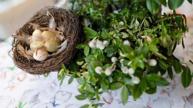 Closeup of colorful decorative quail eggs on festive easter table