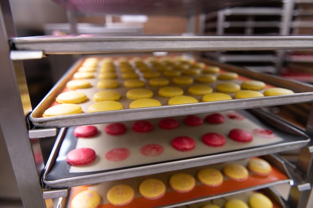 Closeup Colorful Macarons Dessert on the Shelf