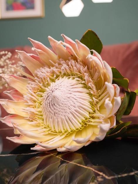 Closeup colorful spring bouquet with many different flowers jelly