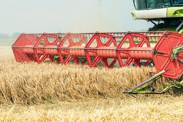 Closeup Combine harvesting a wheat field. Combine working the field.