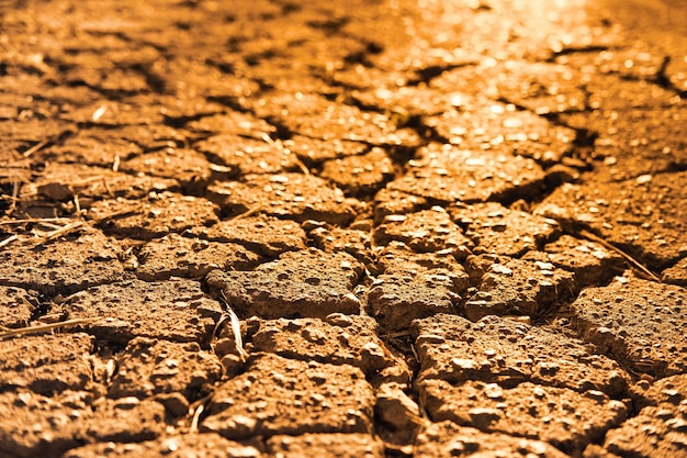 Closeup of cracked asphalt texture in evening golden sunslight Cracks on the old road surface