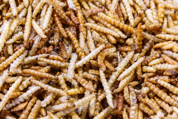 Closeup crispy fried bamboo worm