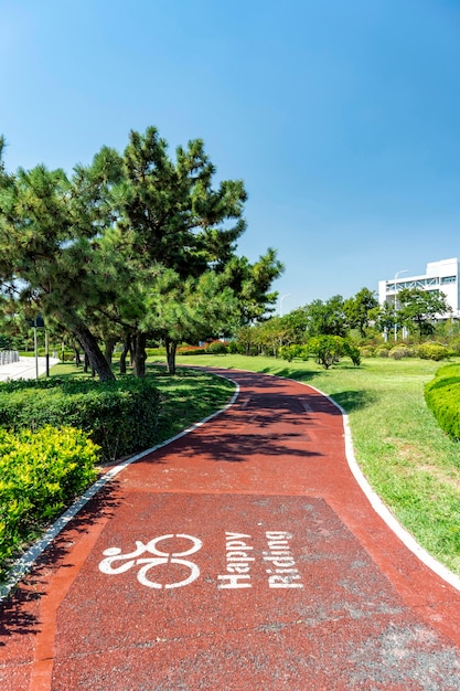 Closeup of cycling path in outdoor city park