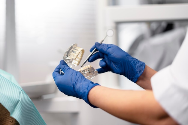 Closeup the dentist holds the jaw in his hand points to the teeth with a dental instrument Work in a dental office