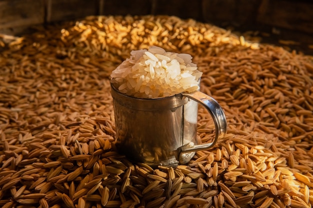 closeup details of Thai rice