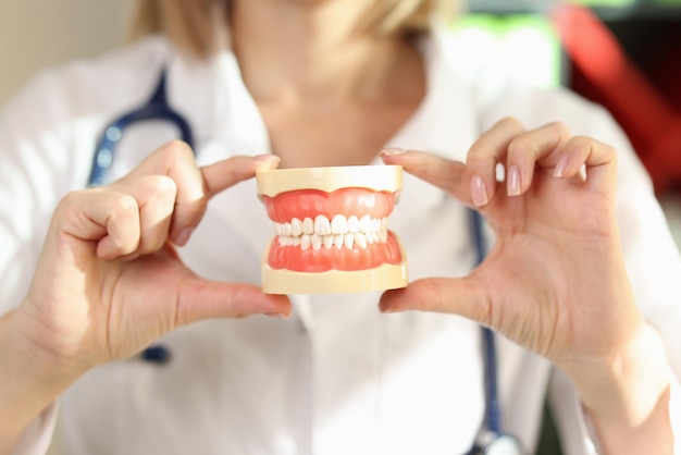 Closeup of doctor stomatologist holding jowl model in hands teeth orthodontic dental model or