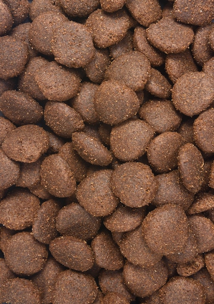 Closeup of feed of dog