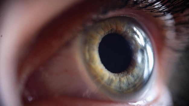 Closeup of female charming green and blue eye with eyelashes good vision and contact lenses