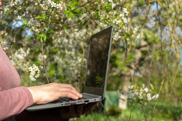 Closeup of female hands with a laptop on the background of a flowering garden