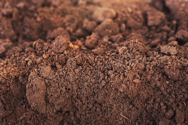 Closeup of fertile loam for the background