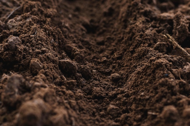 Closeup of fertile loam for the background