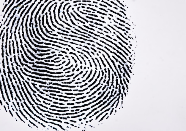 Photo closeup fingerprint photograph on white background