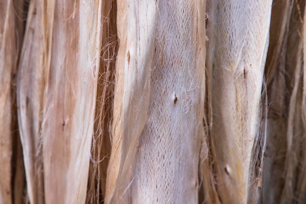 Closeup Focus Thick Jute Fiber abstract Pattern Texture can be used as a background wallpaper