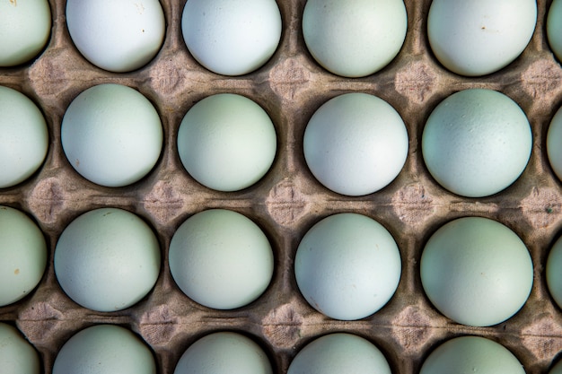 Closeup of free range chicken eggs box at wholesale market stall. Sao Paulo city, Brazil