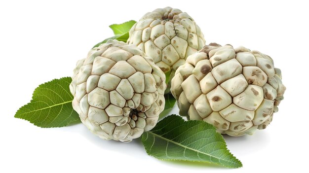 Closeup of fresh cherimoya fruit on white background Highquality botanical image with green leaves and detailed texture Ideal for food and healthy lifestyle designs AI