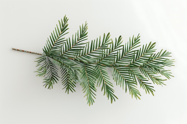 Photo closeup of a fresh green branch with delicate leaves