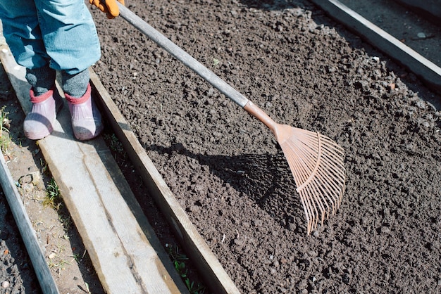 Closeup of gardener working with fan rake in vegetable garden bed outdoors