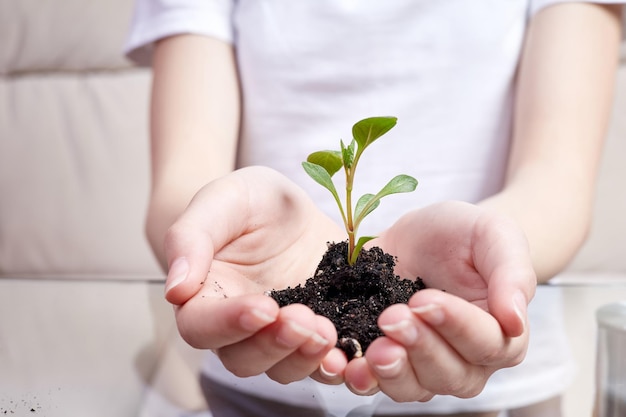 Closeup of a girl holding a young fresh sprout green plant in palm of her hand