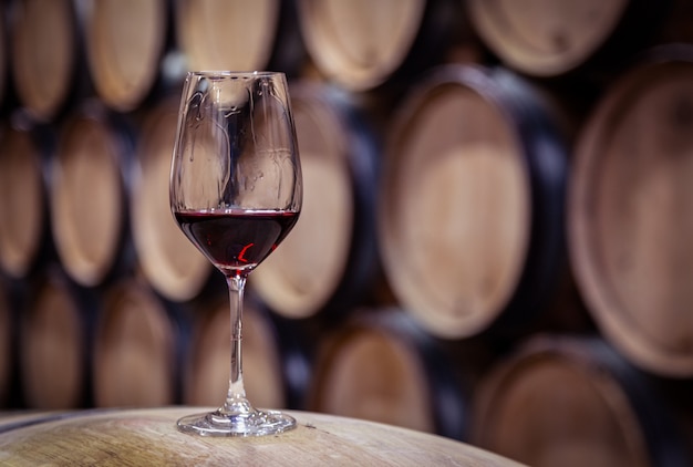 Closeup glass with red wine on  wooden wine oak barrel stacked in straight rows in order, old cellar of winery, vault.  professional degustation, winelover, sommelier travel