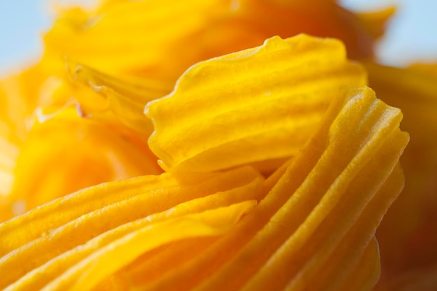 Closeup golden yellow sweet potato chips white background