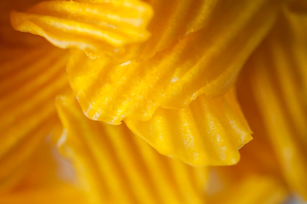 Closeup golden yellow sweet potato chips white background