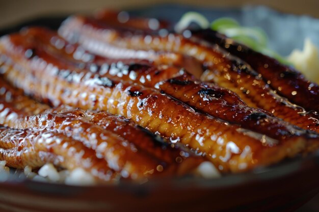 Closeup of Grilled Eel Over Rice