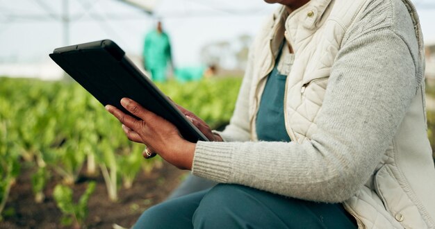 Photo closeup hand and farmer with tablet in greenhouse for checking of inventory with plants for harvest person agribusiness and technology for report quality control and fresh produce for inspection