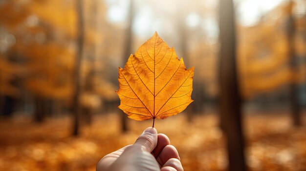 Closeup of a Hand Holding a Bright Leaf Against the Background of Autumn Trees AI Generated