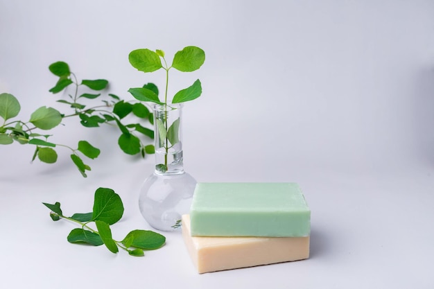 Closeup of hand made herbal soap Green leaves Spa concept Skin product mockup scene Cosmetic pro