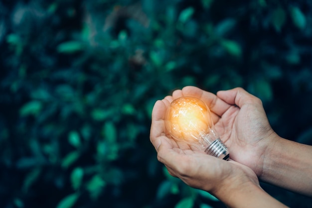 Closeup hand man hold light bulb on green nature background