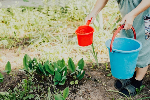 Closeup hand watering flowers with a ladle in the garden