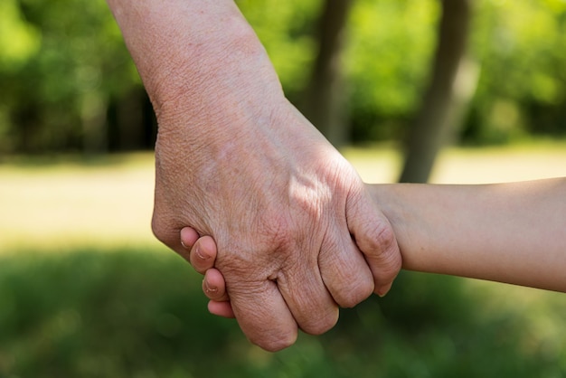 Closeup the hands of an old woman hold in her hands the palms of a little girl