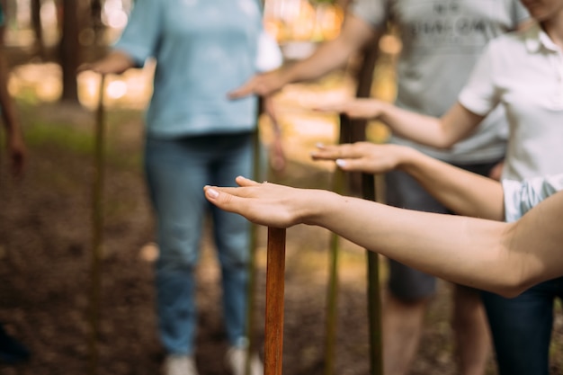 Closeup of the hands of people standing and holding sticks team building event for rallying and