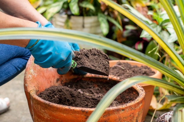 Closeup of hands pouring new and fertilized soil into a pot in which a new plant will be planted