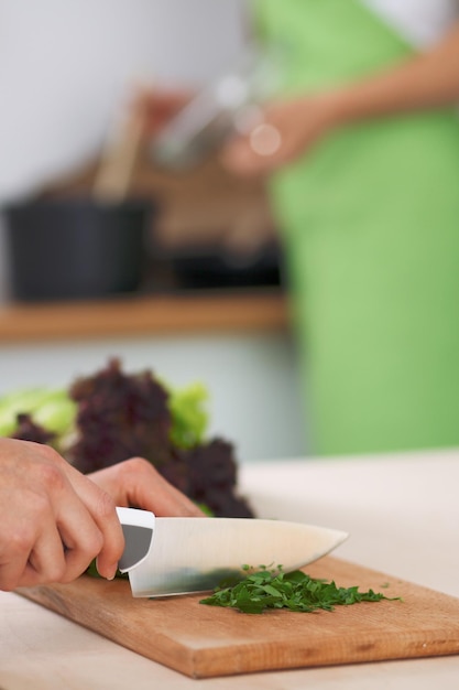 Closeup of human hands cooking vegetables salad in kitchen Healthy meal and vegetarian concept