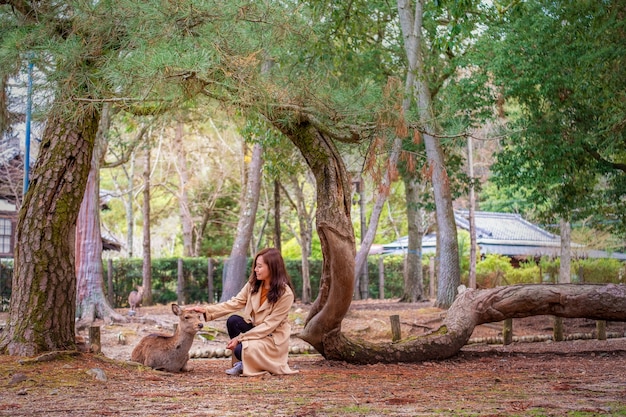 Closeup image of an asian woman sitting and playing with a wild deer in the park