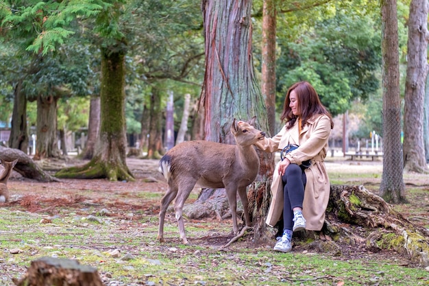 Closeup image of an asian woman sitting and playing with a wild deer in the park