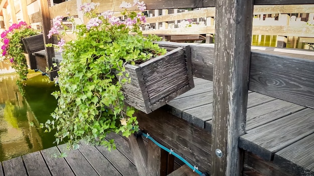 Closeup image of beautiful old wooden bridge with flowers growing in pots over calm river in european town