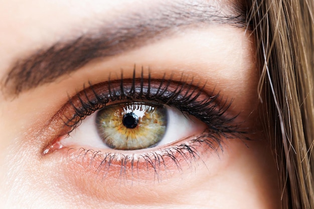 Closeup image of a female eye A woman with beautifully drawn eyes