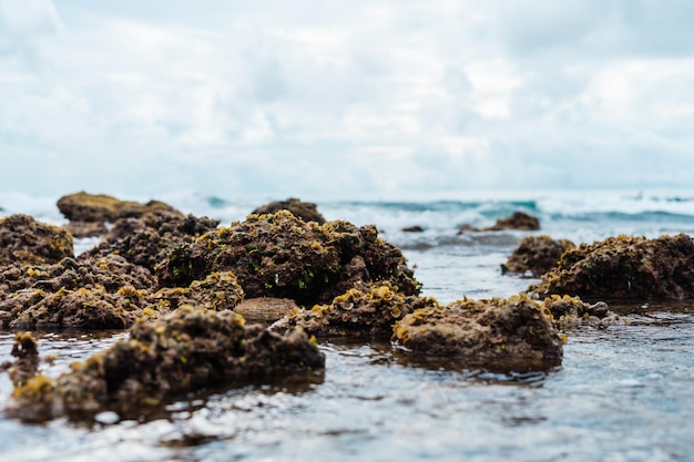 Closeup image of ocean waves