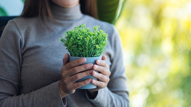 Closeup image of a woman holding a pot of an artificial tree