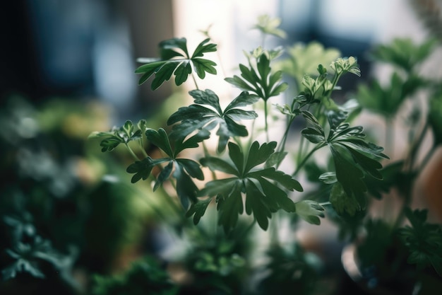 Closeup of indoor plant with delicate leaves and stems in focus created with generative ai